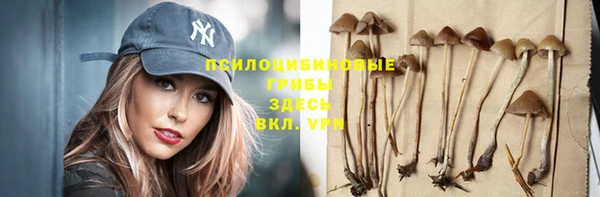 сатива Богородицк