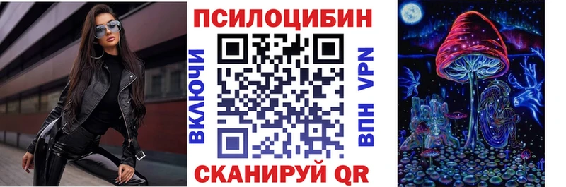 Псилоцибиновые грибы Psilocybine cubensis  OMG   Коркино 